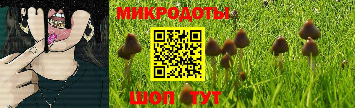 Псилоцибиновые грибы GOLDEN TEACHER Луховицы