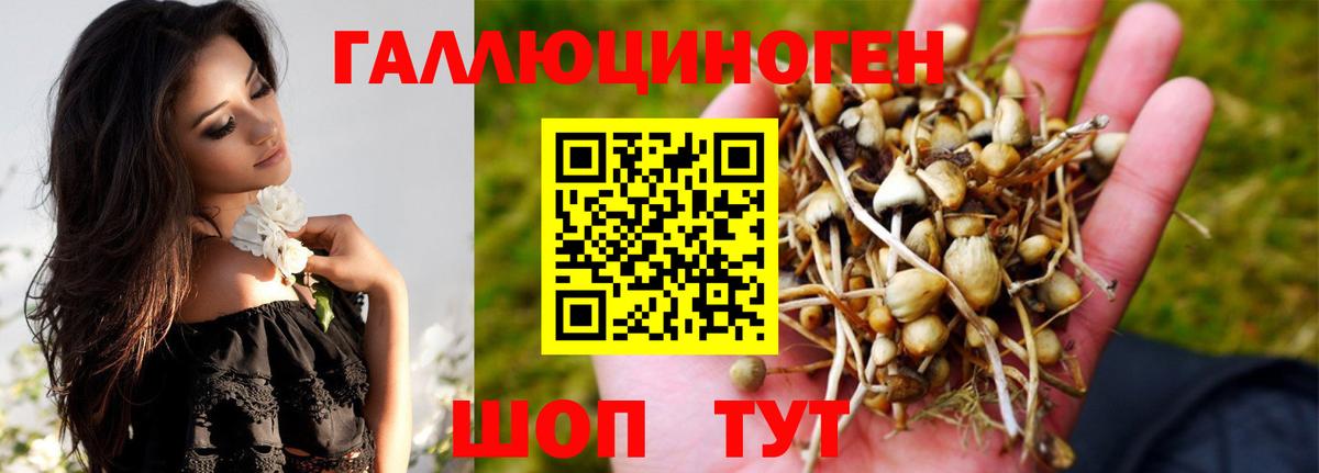 Луховицы  Галлюциногенные грибы GOLDEN TEACHER  Галлюциногенные грибы ЛСД  Вход с VPN 